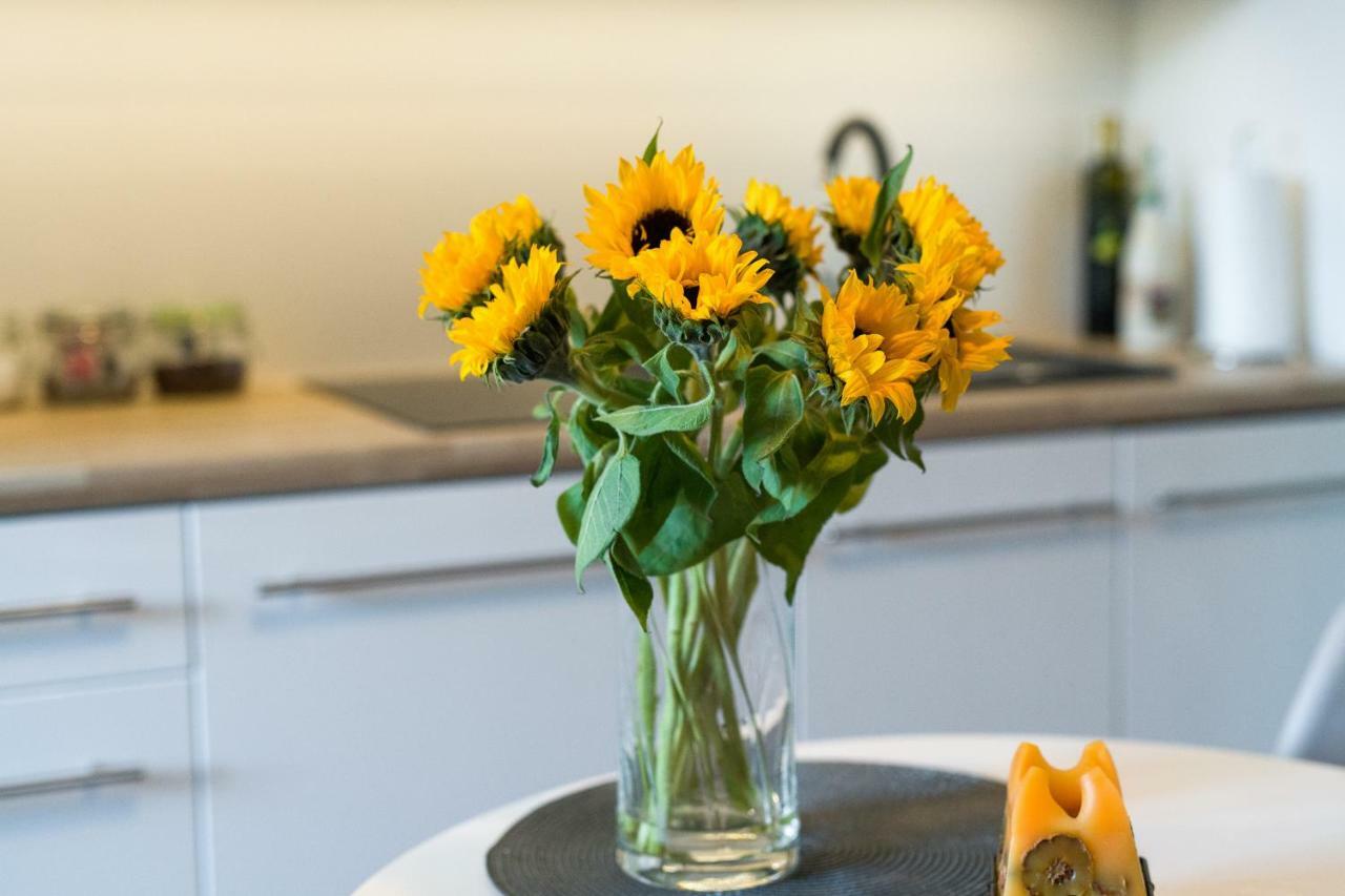 Sunflower Apartment Krakow Exterior photo